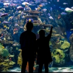 Silhouette of two people in front of a massive fish tank at Ripley's Aquarium of Myrtle Beach.