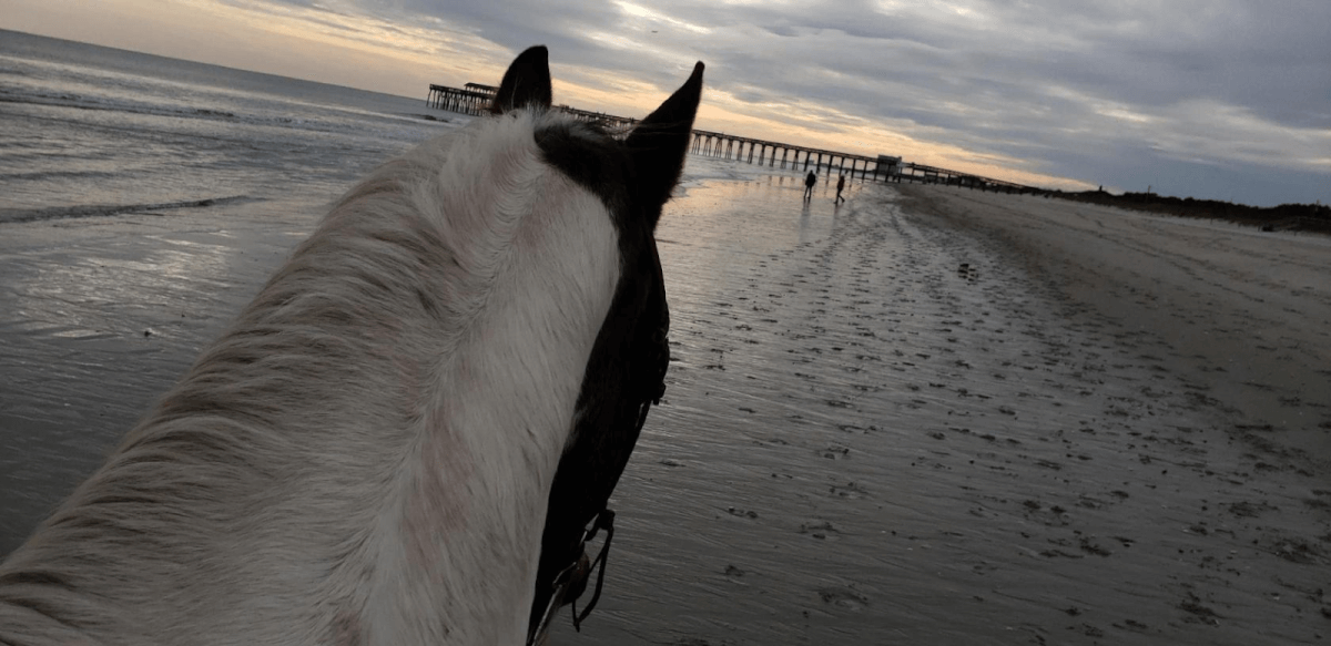 horseback ride on the beach