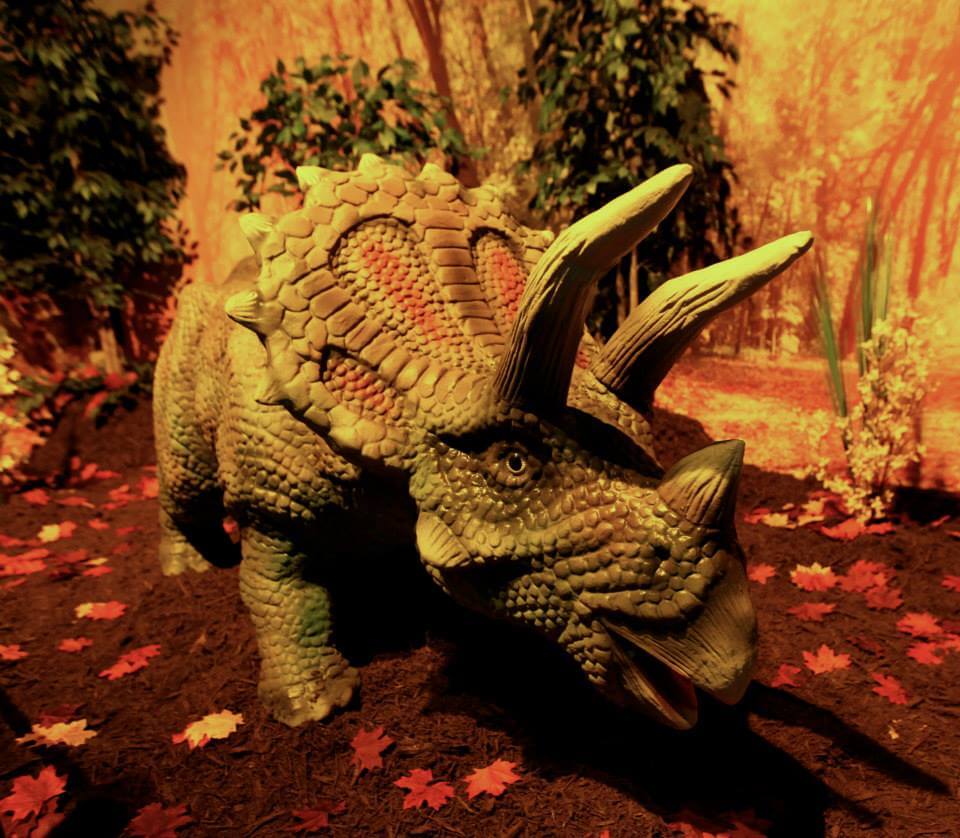 Triceratops model at Dino Park - Myrtle Beach