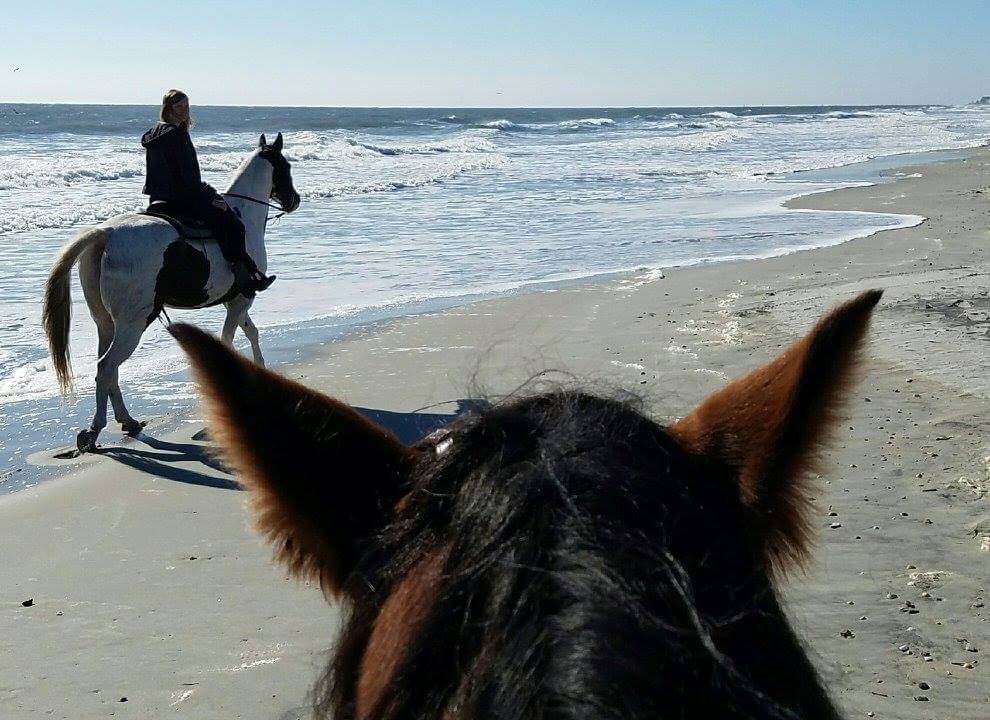 Myrtle Beach horseback riding