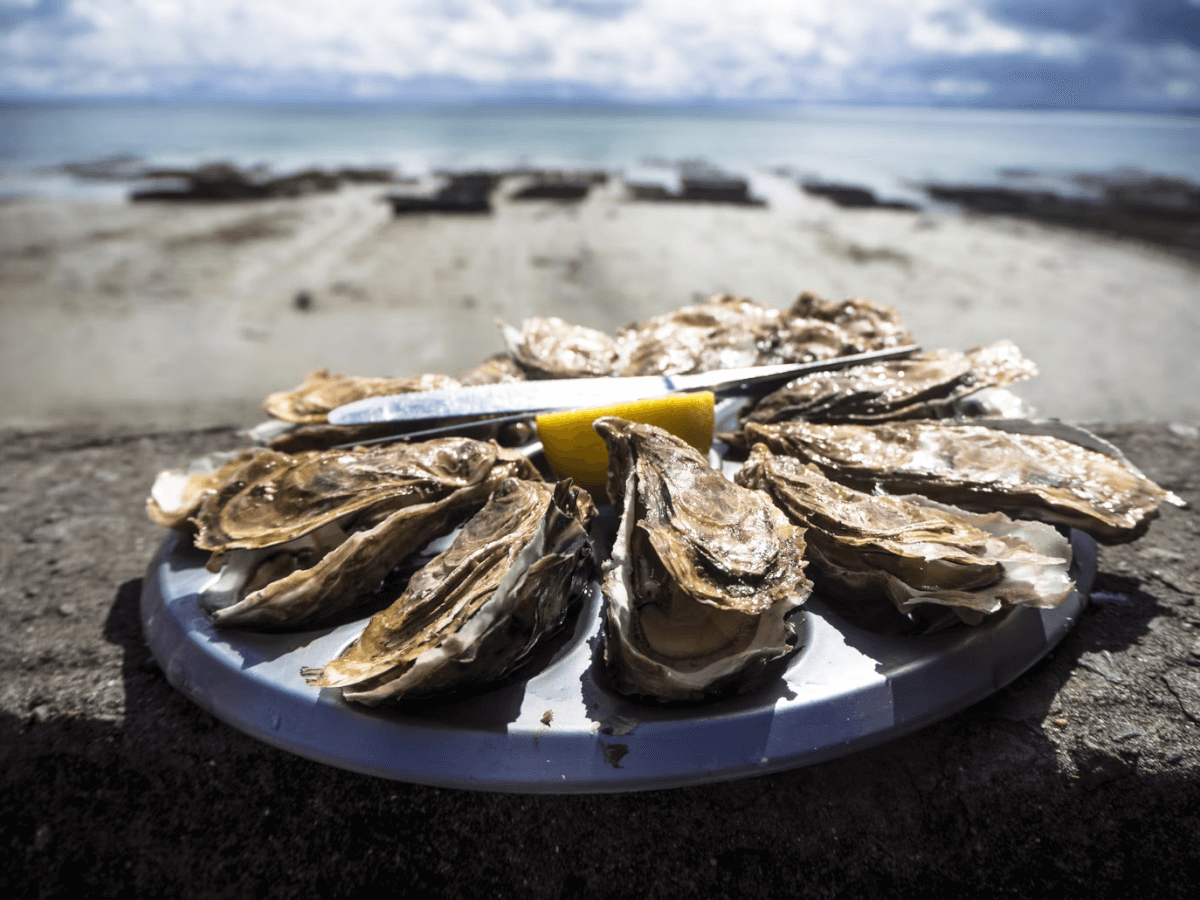 From Sea to Land: A Tour of the Best Murrells Inlet Restaurants