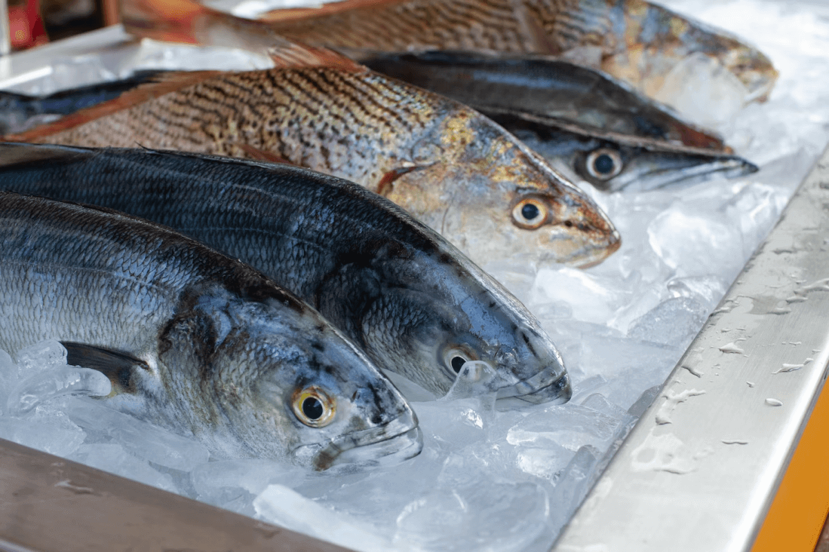fresh catch at Seven Seas Seafood Market