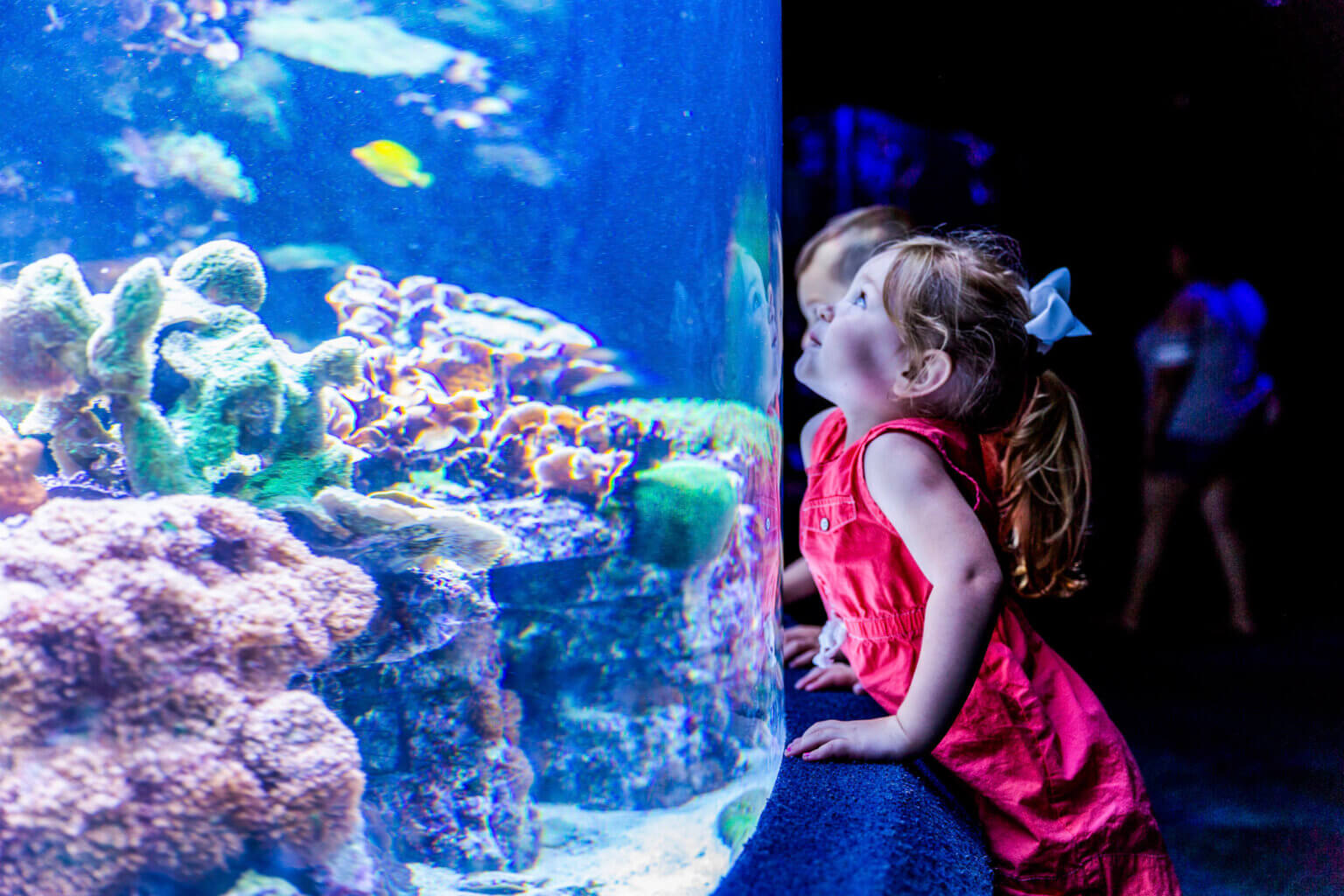 Tips for AutismFriendly Vacations in Myrtle Beach