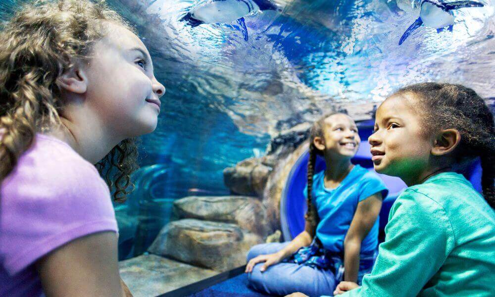 Young girls fascinated by the marine life in an aquarium tank, watching fish swim gracefully.