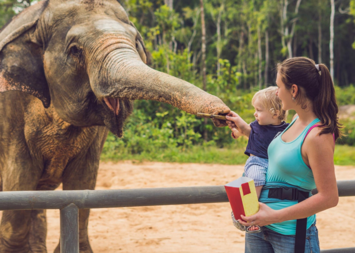 Myrtle Beach Zoos and Aquariums: Fun for the Whole Family!