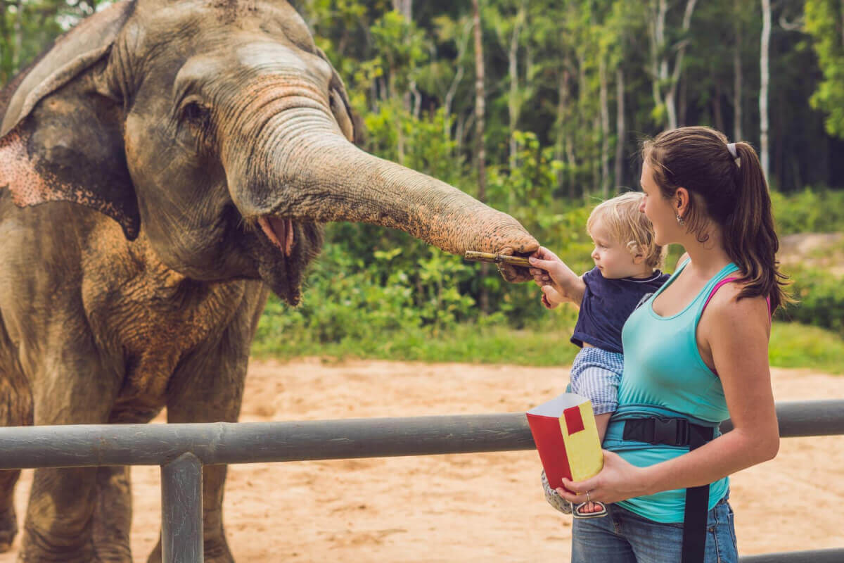 A woman tenderly holding a child while feeding an elephant calf, showcasing a heartwarming bond between human and animal.