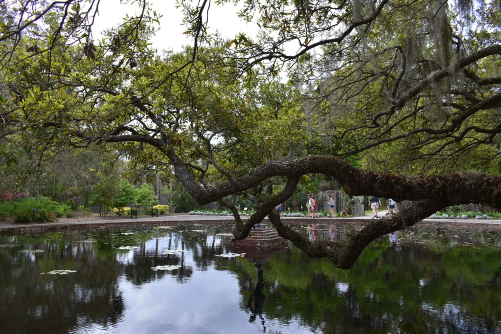 Scenic reflection pond surrounded by lush greenery and twisted oak trees at Brookgreen Gardens in Myrtle Beach, South Carolina, offering a serene outdoor escape with art and nature.
