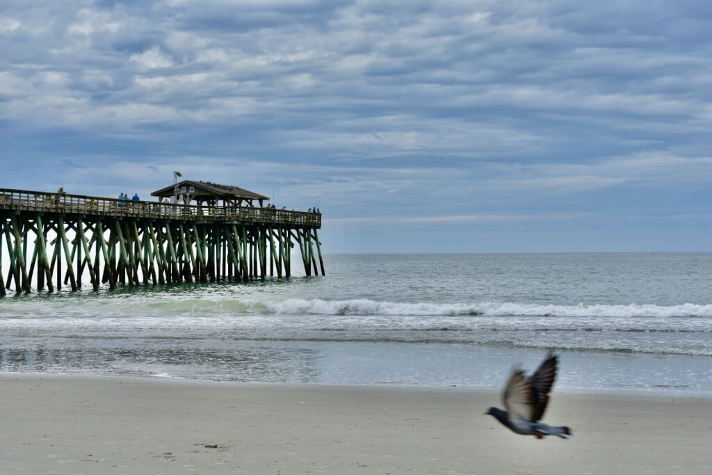Myrtle Beach State Park pier stretching over the Atlantic Ocean with waves along the sandy shore.