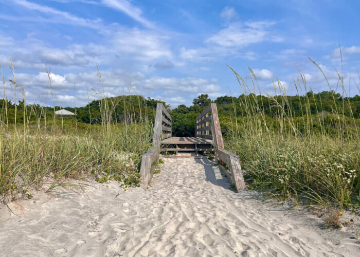 Your Guide to Hiking in Myrtle Beach: Trails & Tips
