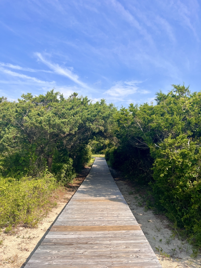 A wooden boardwalk surrounded by lush greenery at Huntington Beach State Park, South Carolina.