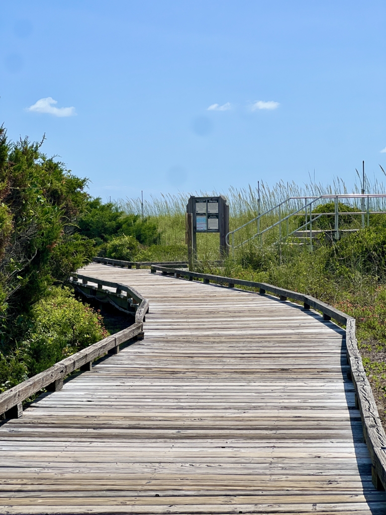 Shady wooden trail surrounded by dense coastal woods at Myrtle Beach State Park.