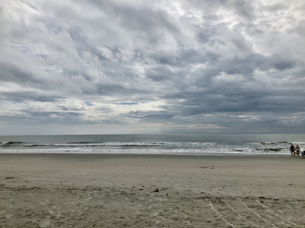 Winter view of Huntington Beach State Park near Myrtle Beach