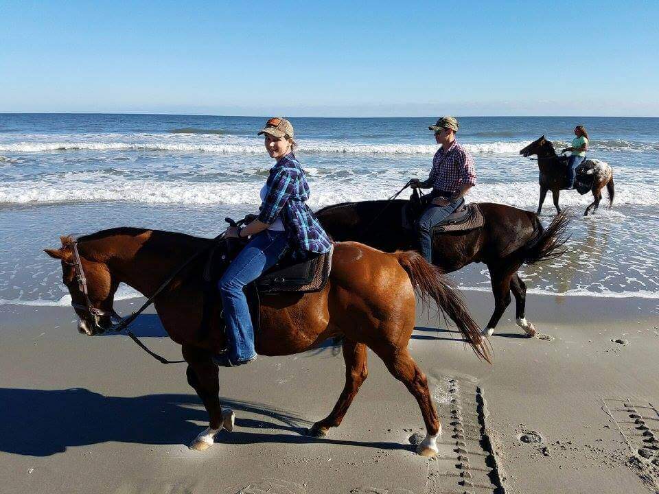 Beginner-friendly beach horseback ride in Myrtle Beach near the sur