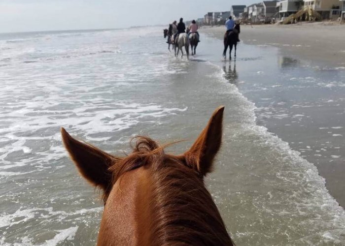 Why Winter Is the Best Season for Myrtle Beach Horseback Riding