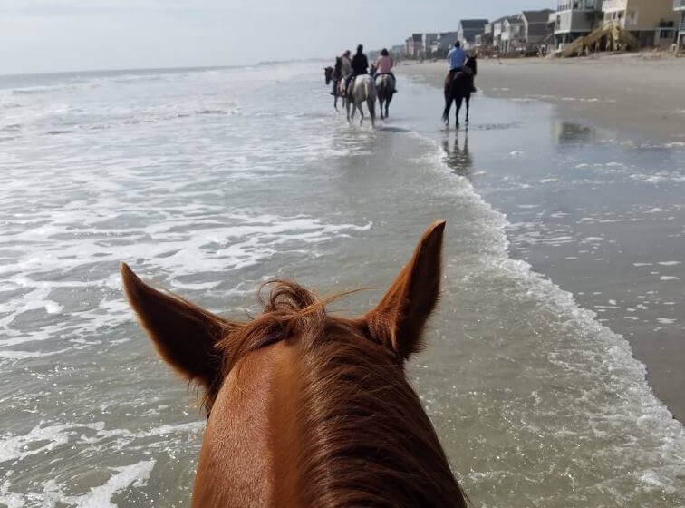 Myrtle Beach horseback riding in winter with a quiet shoreline ahead