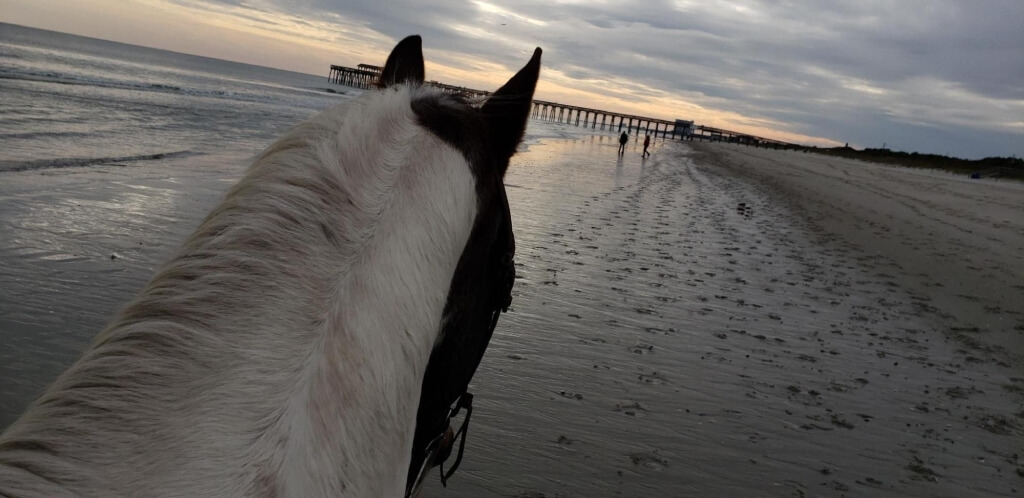 Winter sunset view from horseback on a quiet Myrtle Beach shoreline with a pier