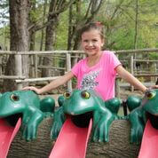 Have fun with frogs at Ripley’s Davy Crockett Mini-Golf
