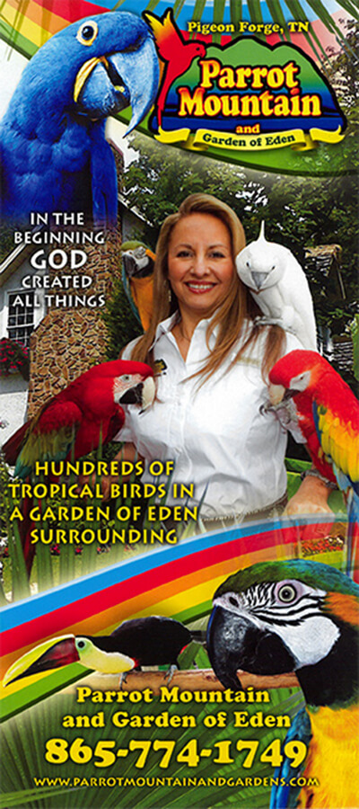 Parrot Mountain Brochure Image
