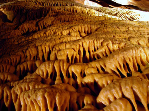 Forbidden Caverns Sevierville TN