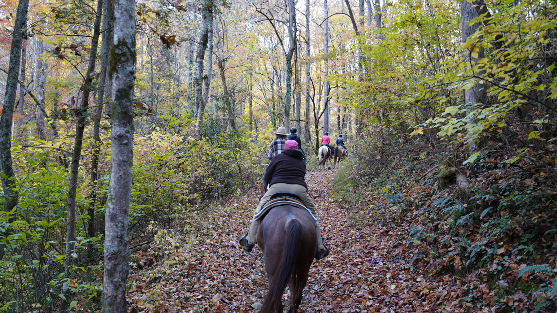 Horseback Riding in Pigeon Forge