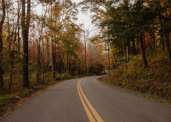 Enjoy the Best Smoky Mountain Views All Year Long