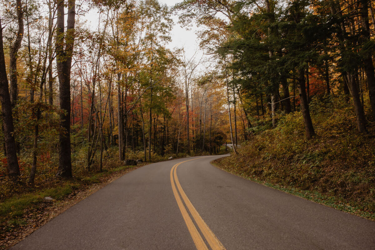 Curving scenic road surrounded by fall foliage in the Smoky Mountains.