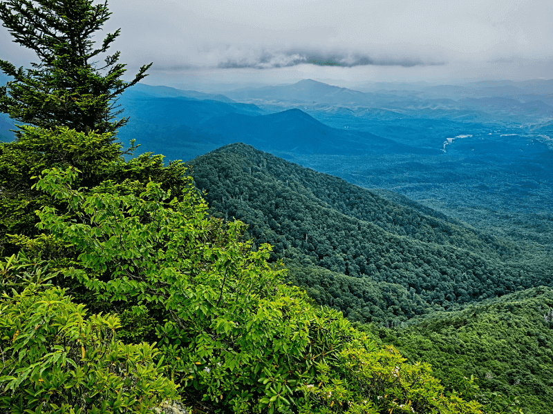 Smoky Mountains in the Summer