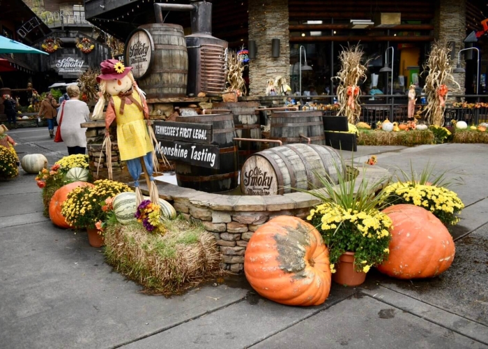 Smoky Mountain Fall Festivals: Halloween, Oktoberfests, and Autumn Fun in the Smokies