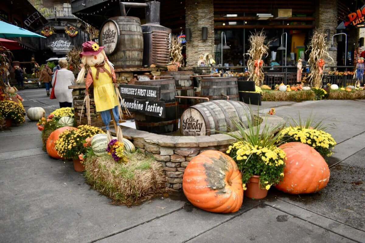 Fall decorations in downtown Gatlinburg during the Smoky Mountain Harvest Festival