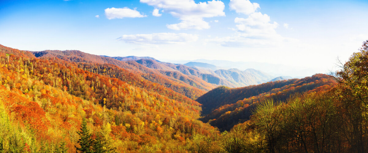 Smokies in the Fall