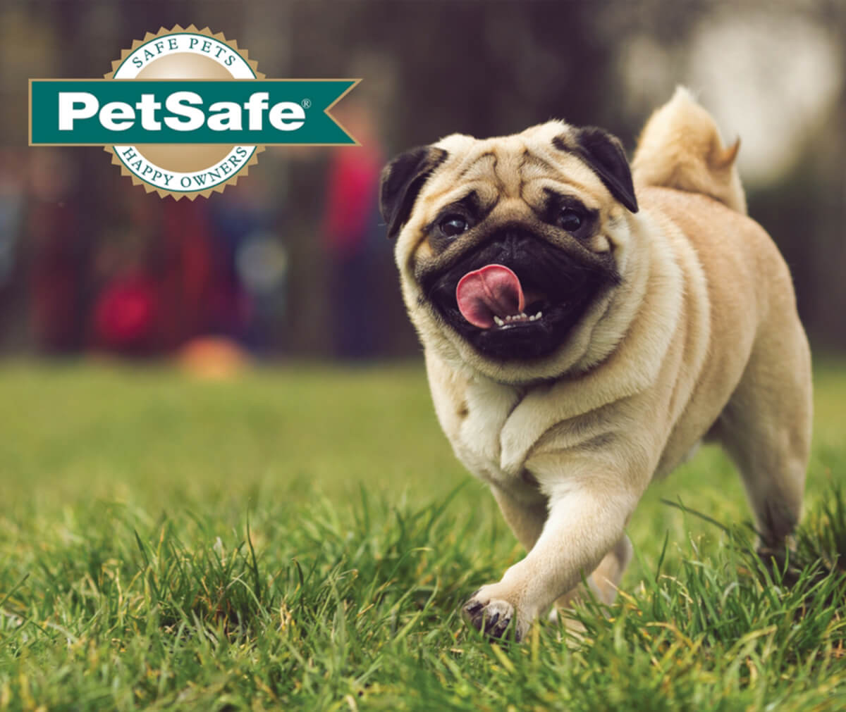 Sevierville's PetSafe Unleashed Dog Park Small and Large Breeds