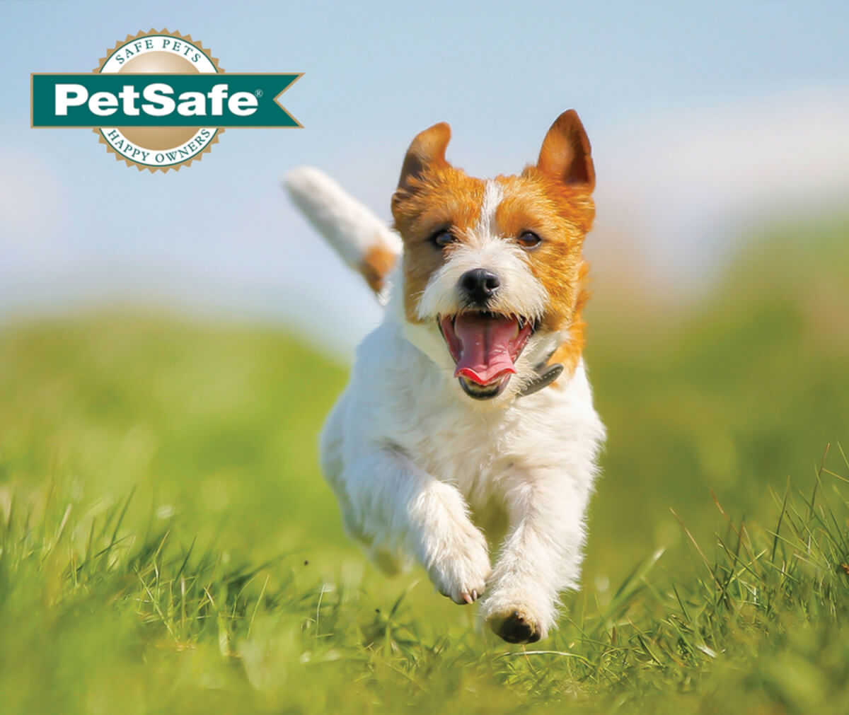 Sevierville's PetSafe Unleashed Dog Park Small and Large Breeds