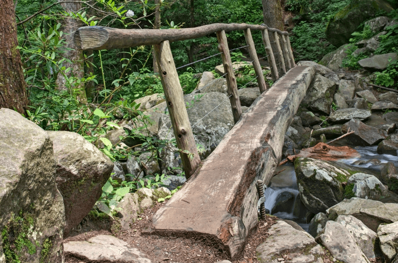 Foot Log at Kephart Prong trail (Great Smoky Mountains National Park)