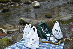 Picnic lunch setup by a creek near Gatlinburg and Pigeon Forge