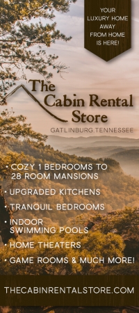The Cabin Rental Store