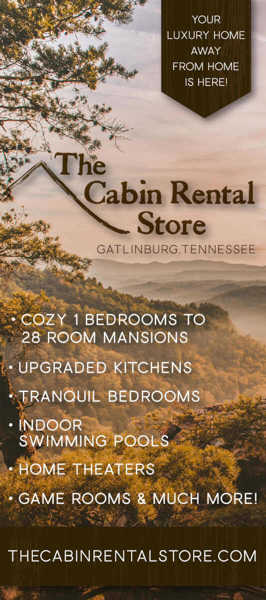 The Cabin Rental Store Brochure Image