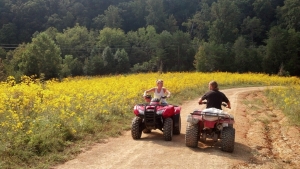 atvs at jayell ranch in sevierville