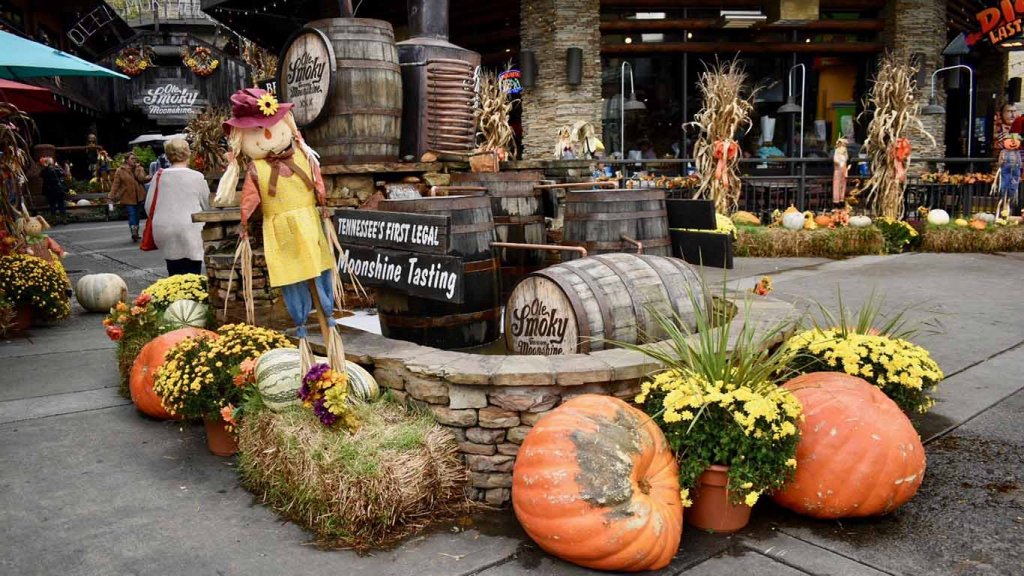 2019 Top 8 Fall Activities in the Smoky Mountains