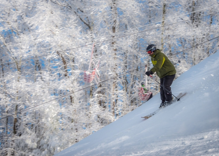 Geno's Pizza Pigeon Gatlinburg, & Kodak, TN