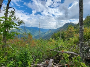 View of the great Smoky Mountains