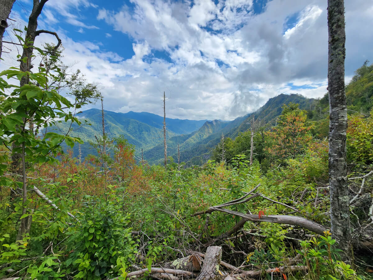 View of the great Smoky Mountains