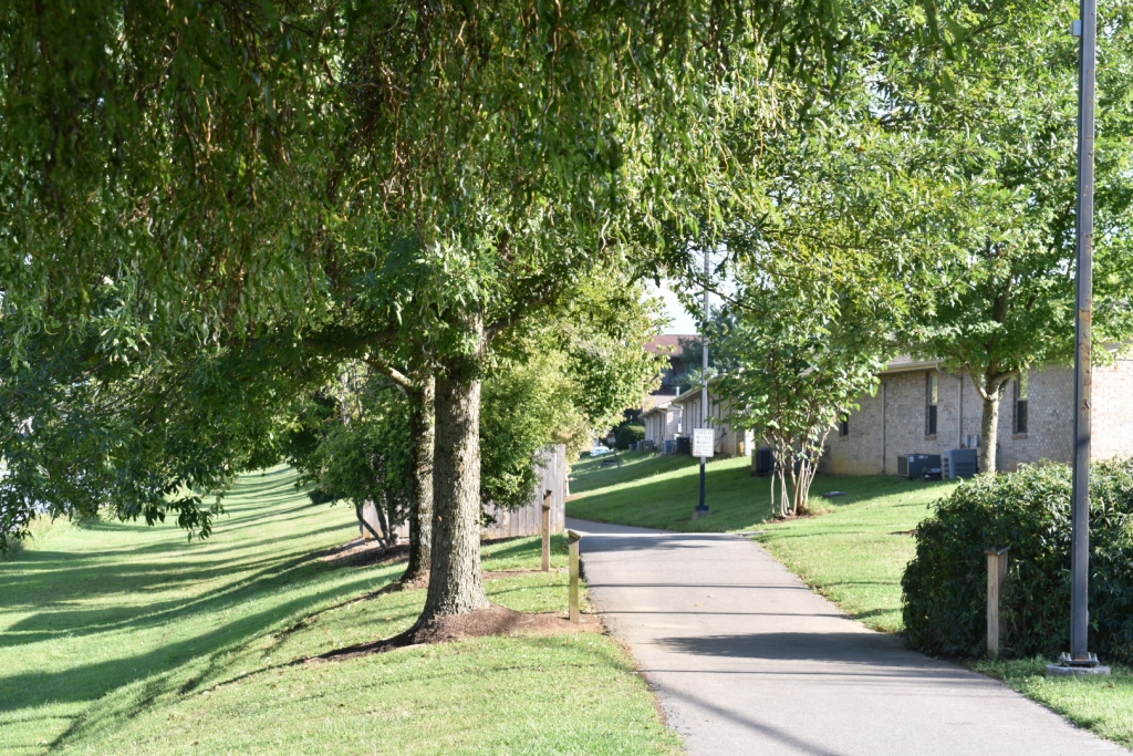 walking trails in Sevierville