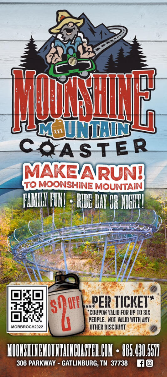 Moonshine Mountain Coaster Brochure Image
