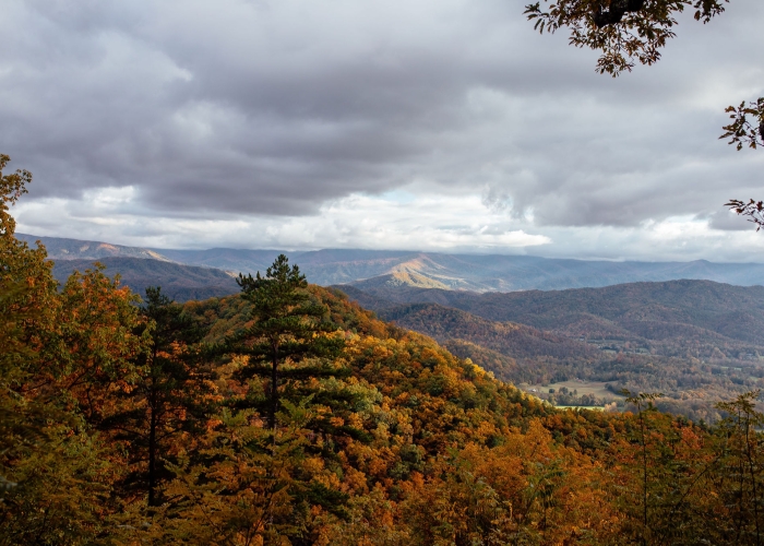 Best Fall Hikes in the Smoky Mountains: Trails, Scenic Drives, and Local Tips