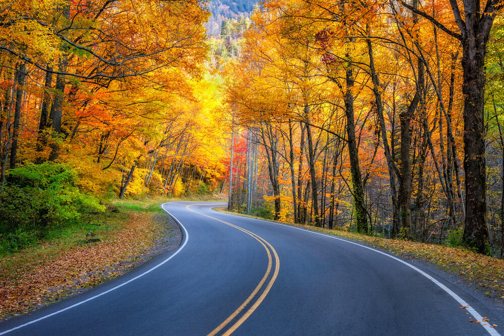 Blue Ridge Parkway