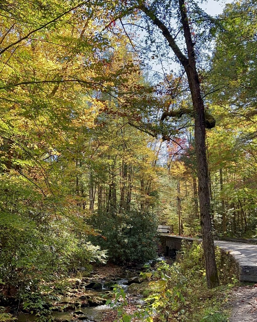 Gatlinburg Trail with creek, bridge, and autumn leaves in Great Smoky Mountains National Park