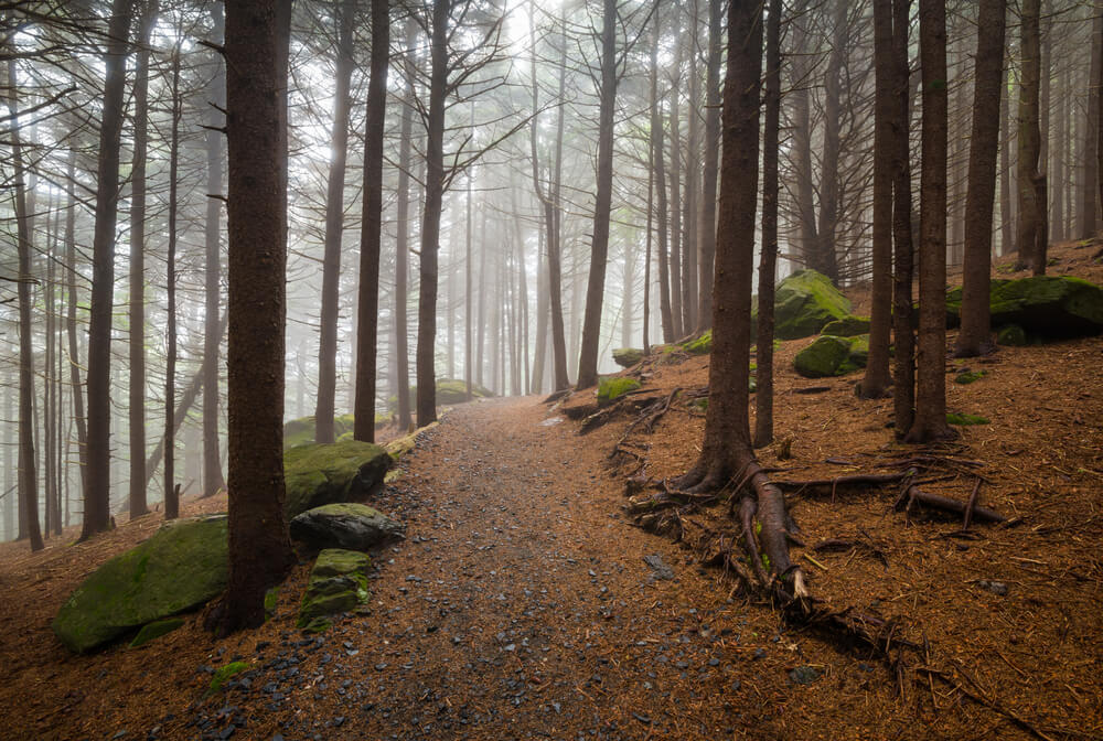 Gatlinburg Trail