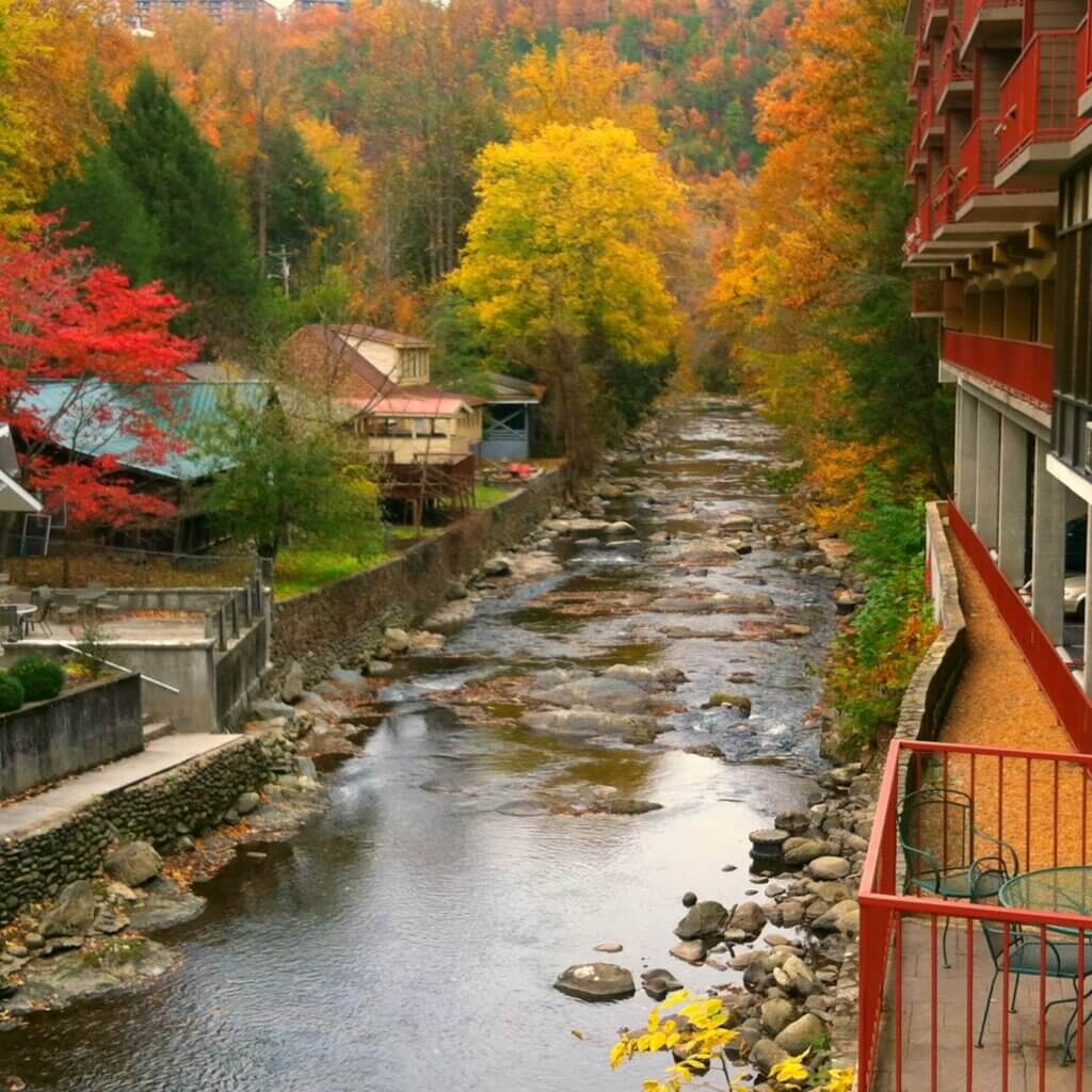 cabins and hotels on the Little Pigeon River