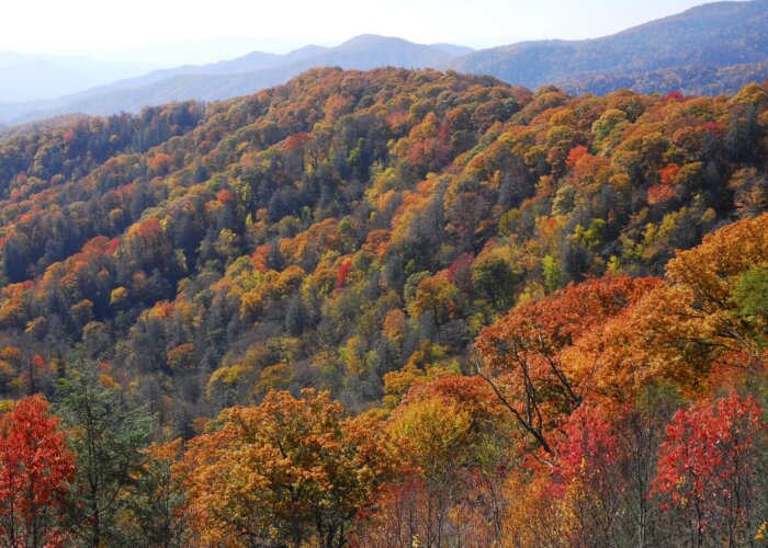 A Guide to Hiking the Great Smoky Mountains in the Fall