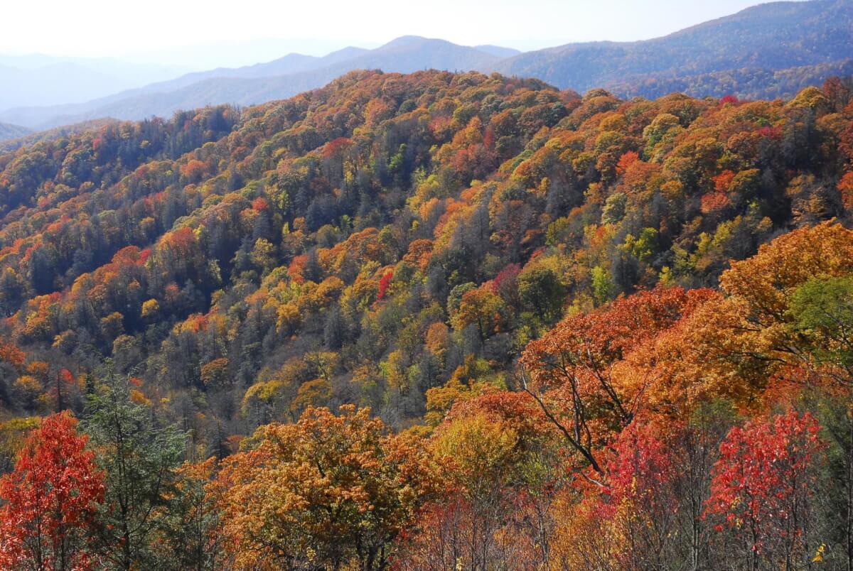 Smoky Mountains in the fall